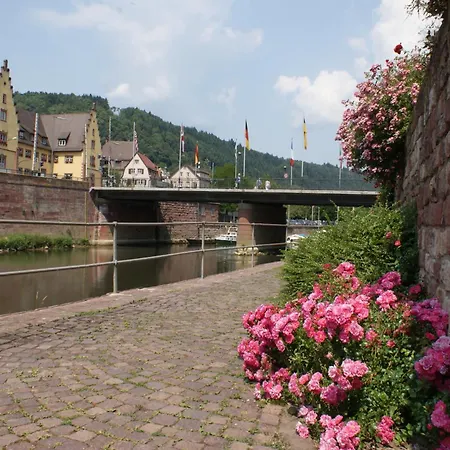 Otel Tauberhotel Kette Wertheim